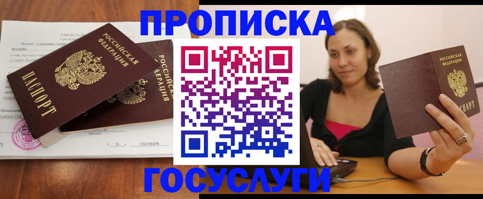 временная регистрация поиск в Щёлково